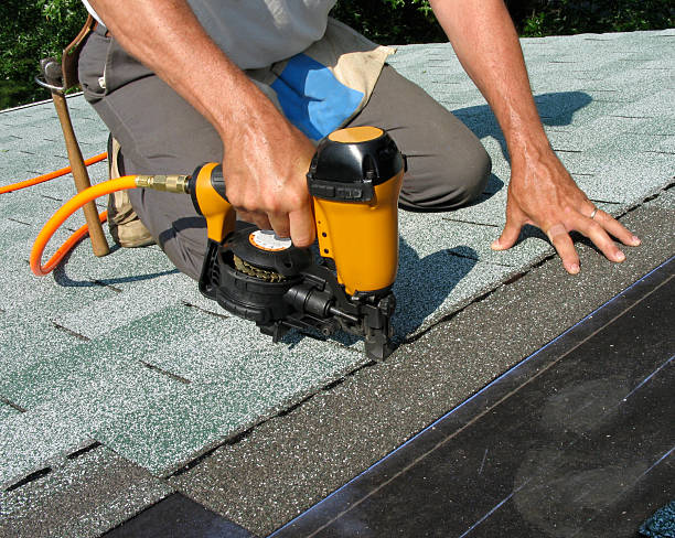 Best Residential Roofing Contractor  in River Ridge, FL
