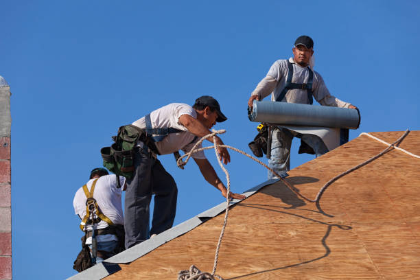 Best Roof Replacement Cost  in River Ridge, FL