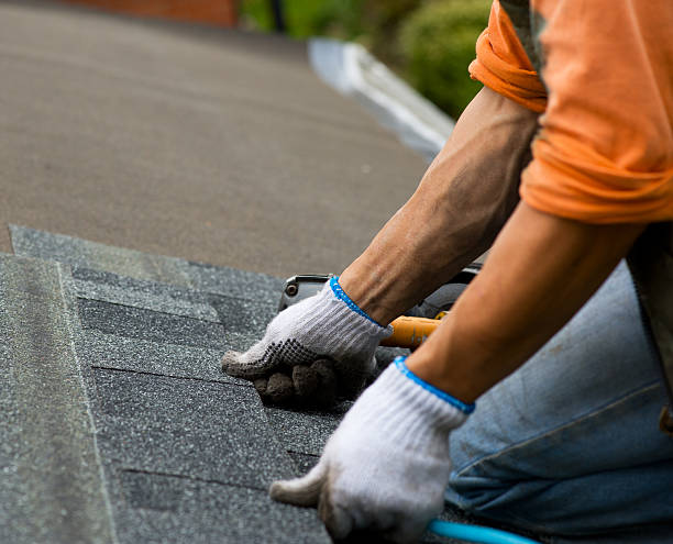 Best Commercial Roofing Services  in River Ridge, FL