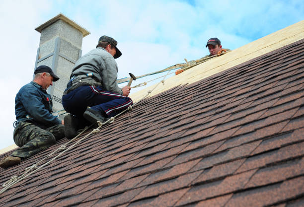 Best Roof Gutter Cleaning  in River Ridge, FL